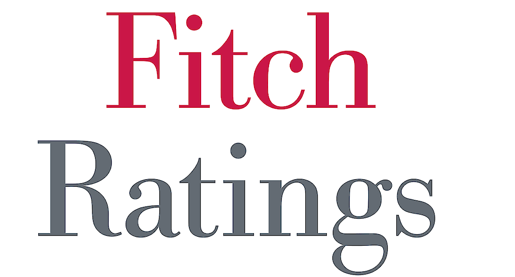 Fitch Master Servicer Report 2022